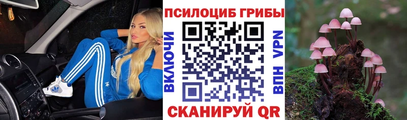 KRAKEN маркетплейс  Благовещенск  Псилоцибиновые грибы Cubensis 